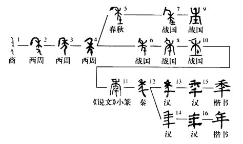 年的古字|漢字「年」：字形演變